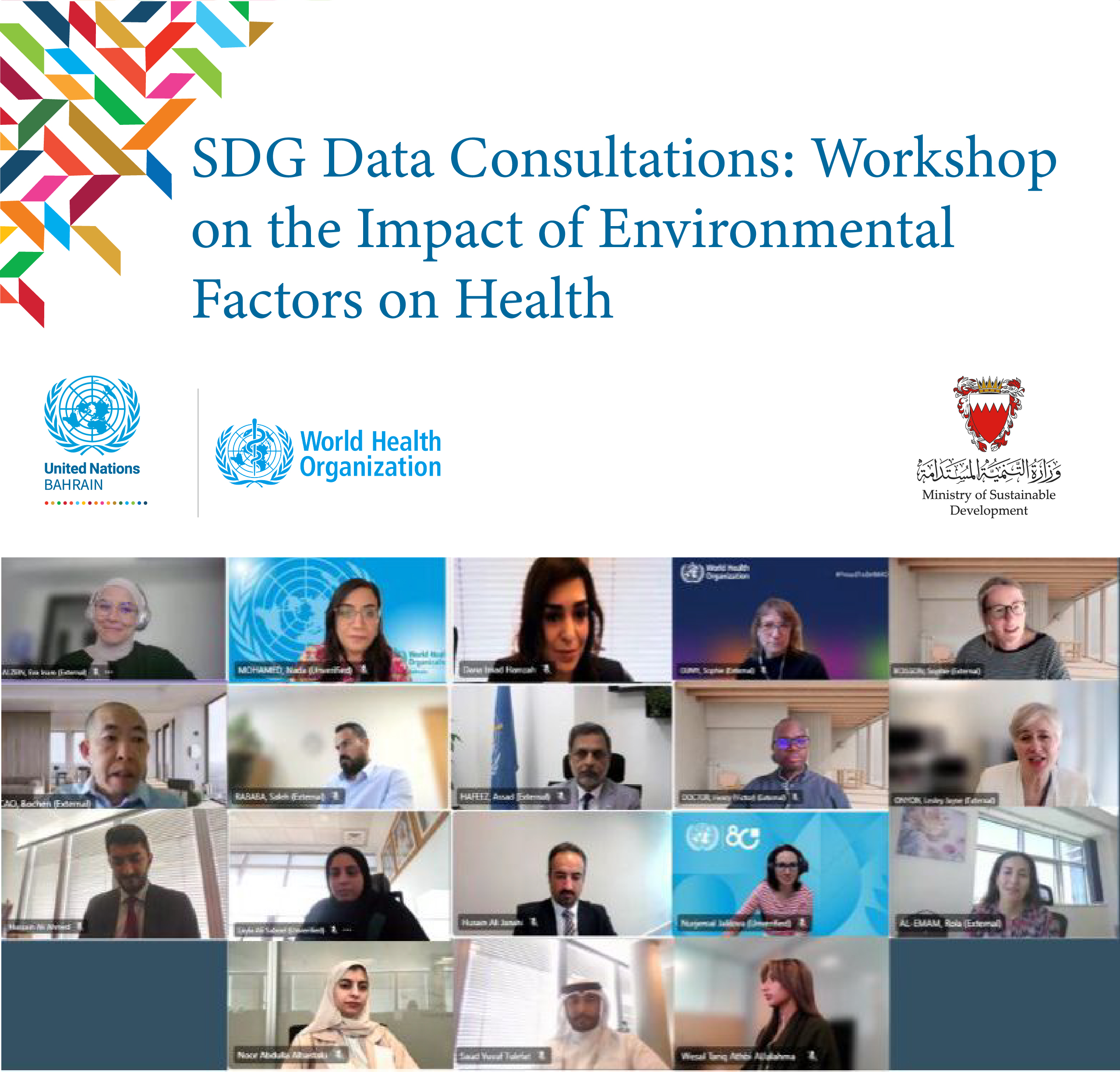 Sustainable Development Ministry holds workshop on SDG indicators related to environmental impact on health